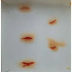 Prothèses Transfert - Coupures -CréaCosmos Soldes protheses transfert coupures 3