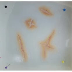 Prothèses Transfert - Fausses Cicatrices