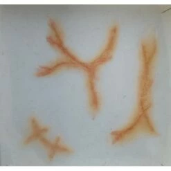 Prothèses Transfert - Vieilles Cicatrices